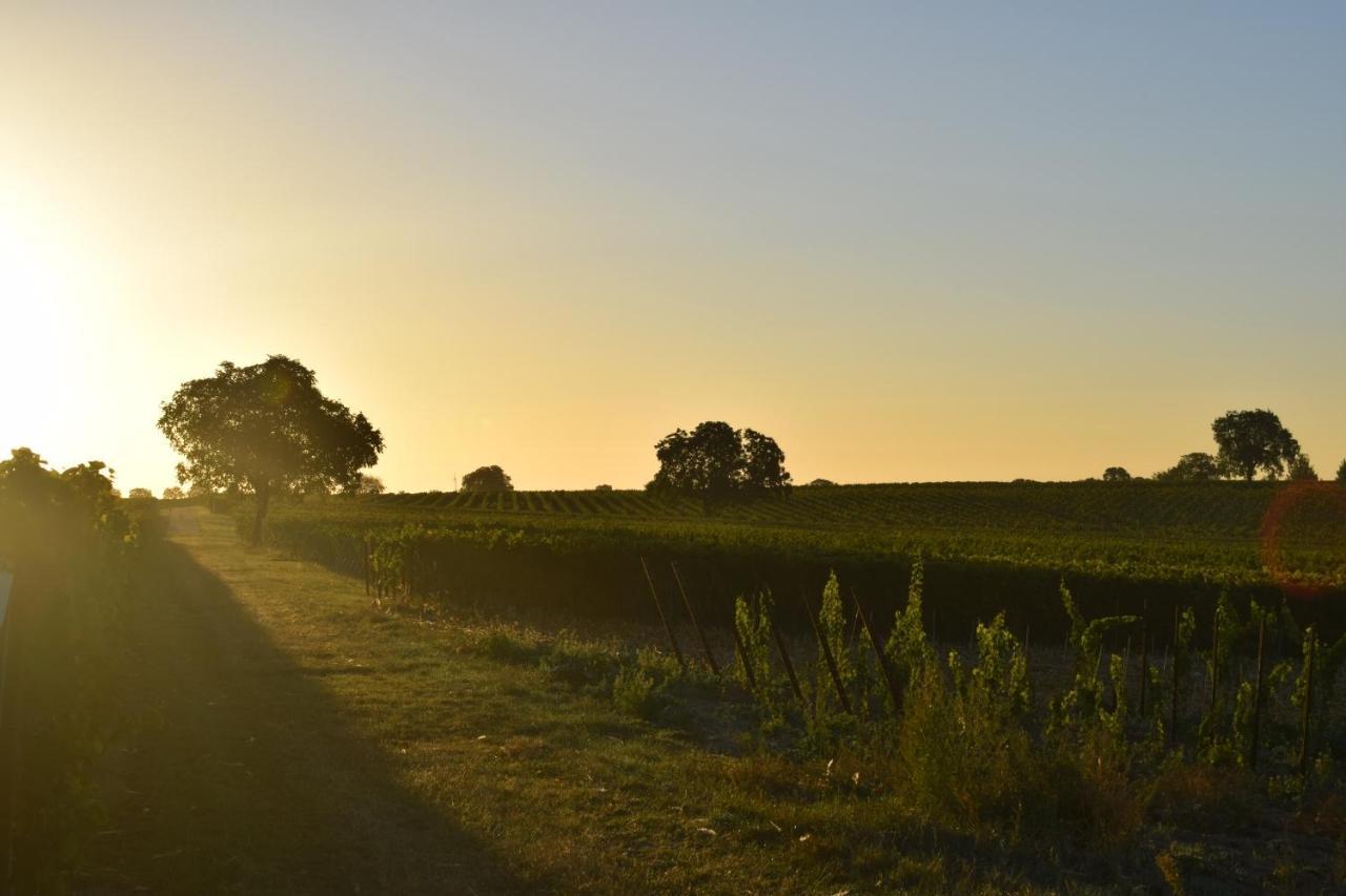 Ferienhaus & Weingut Am Steingebiss Billigheim-Ingenheim Dış mekan fotoğraf