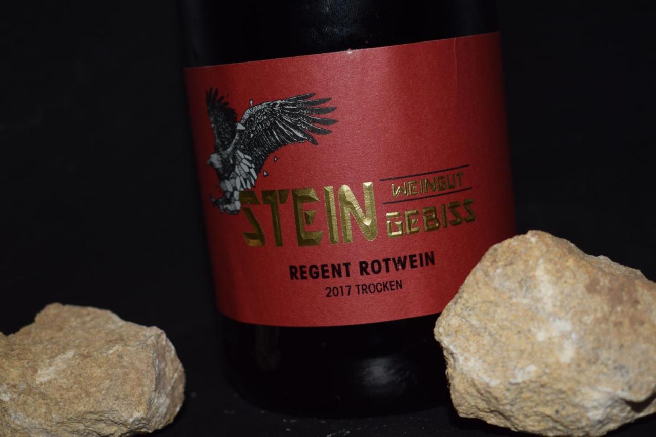 Ferienhaus & Weingut Am Steingebiss Billigheim-Ingenheim Dış mekan fotoğraf