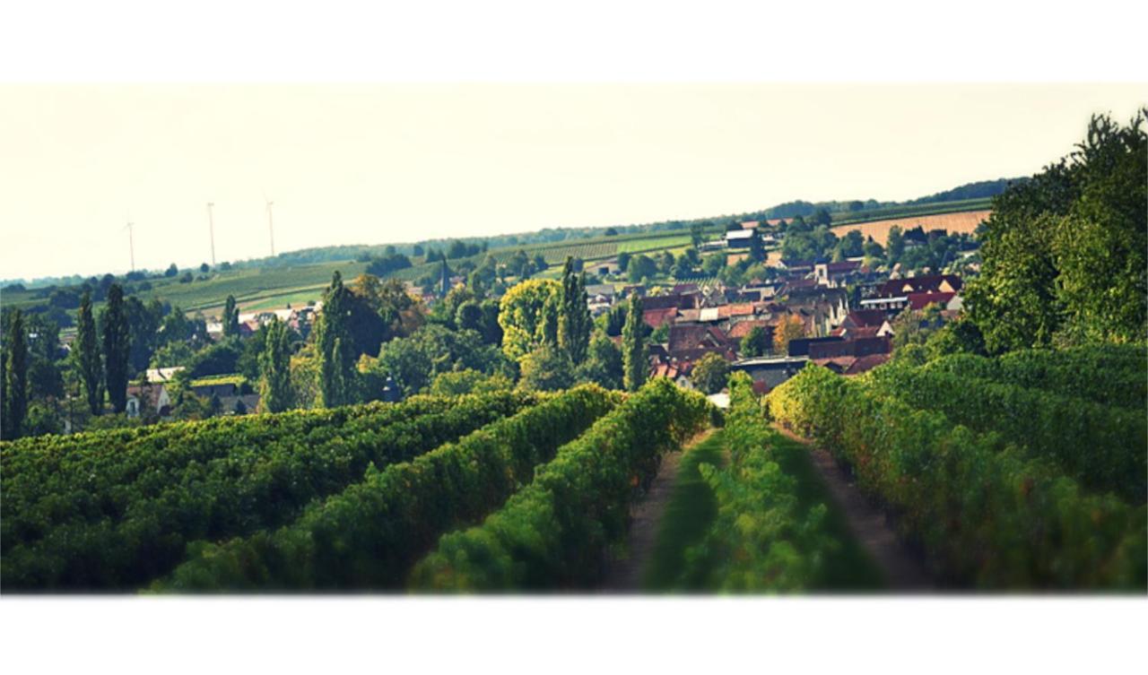 Ferienhaus & Weingut Am Steingebiss Billigheim-Ingenheim Dış mekan fotoğraf